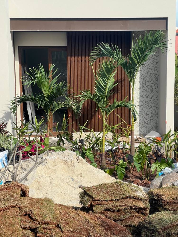 Palmeiras e helicônias em frente a fachada com ripado de madeira