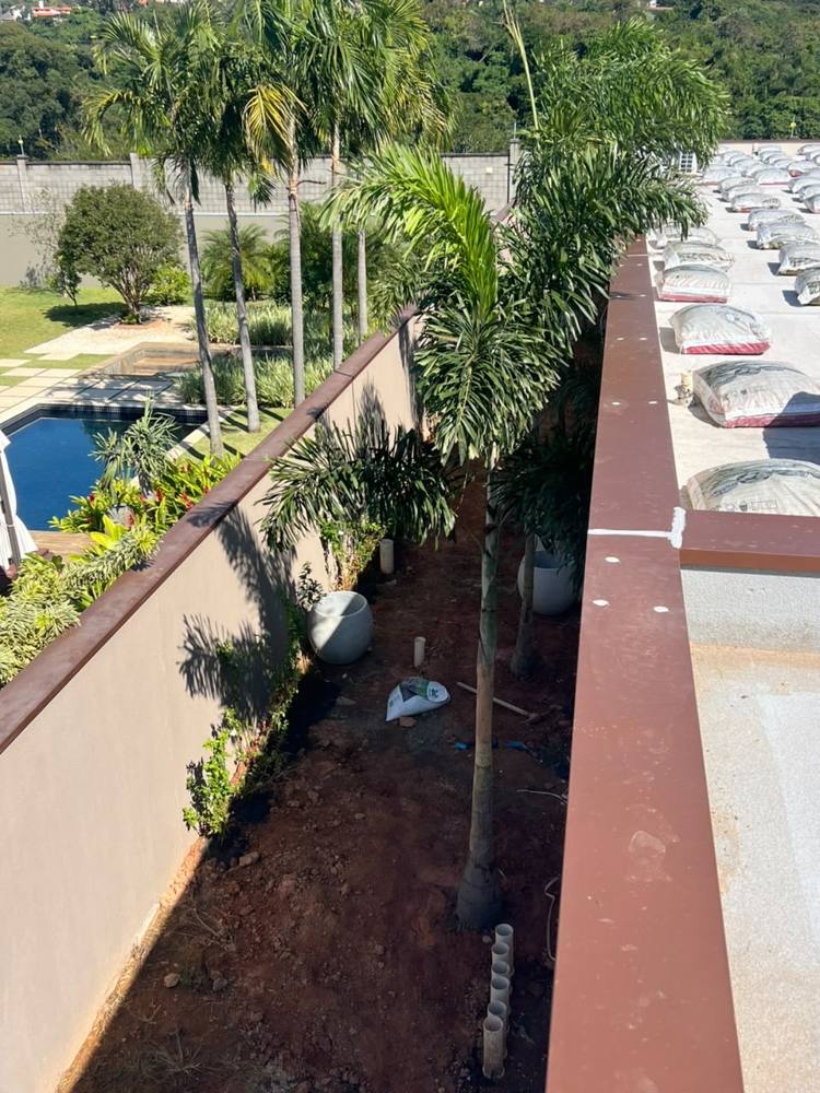 Palmeiras plantadas ao longo de um muro alto